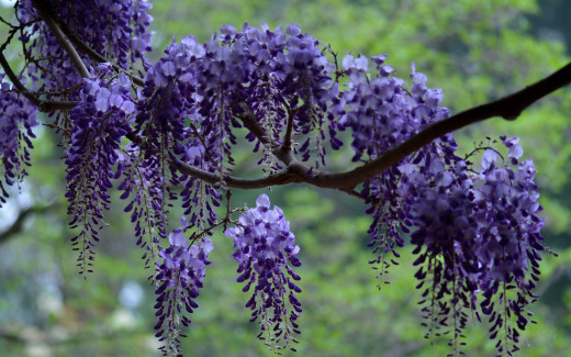 940448 (a): :2560x1600